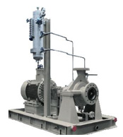 Conventional mechanically sealed pump with pressurized sealing arrangement.